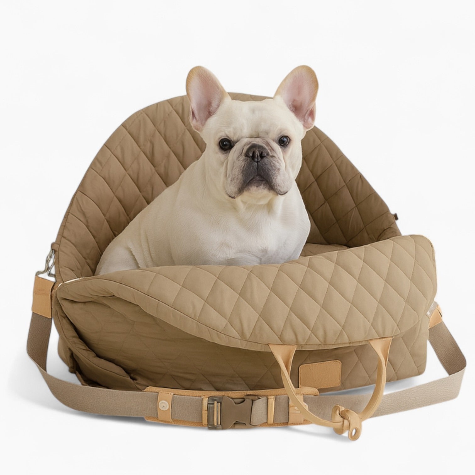 French Bulldog Foldable Pup Carrier for Training Sessions-fadou