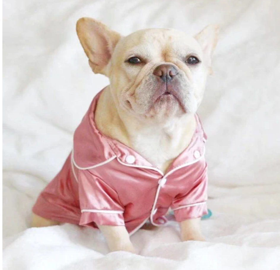Silk French Bulldog Cozy Pajama Set for Dog Moms & Dads-fadou