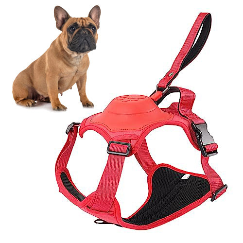 BulldogBound Frenchie Walking Harness for Travel Comfort-fadou