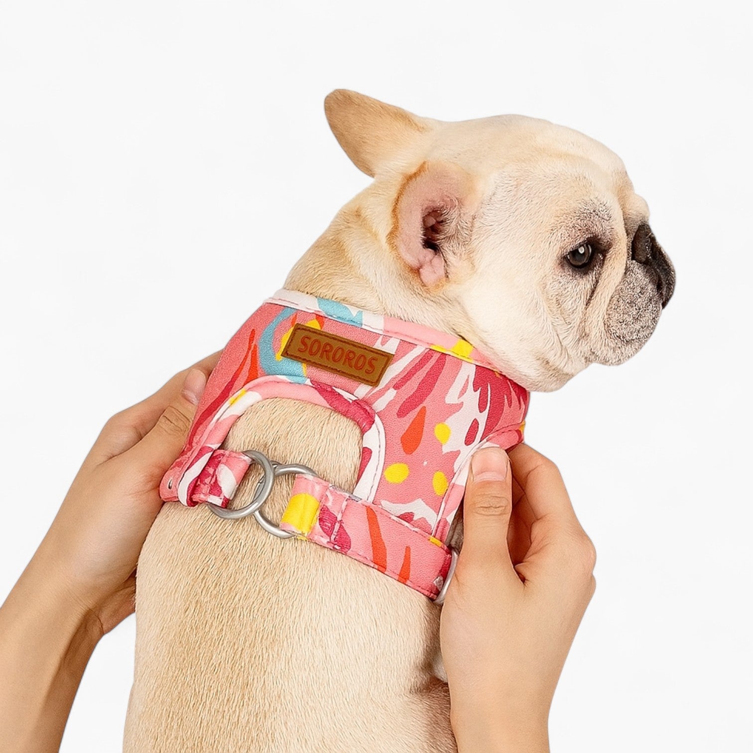 French Bulldog No-Pull Chest Harness for Travel Comfort-fadou