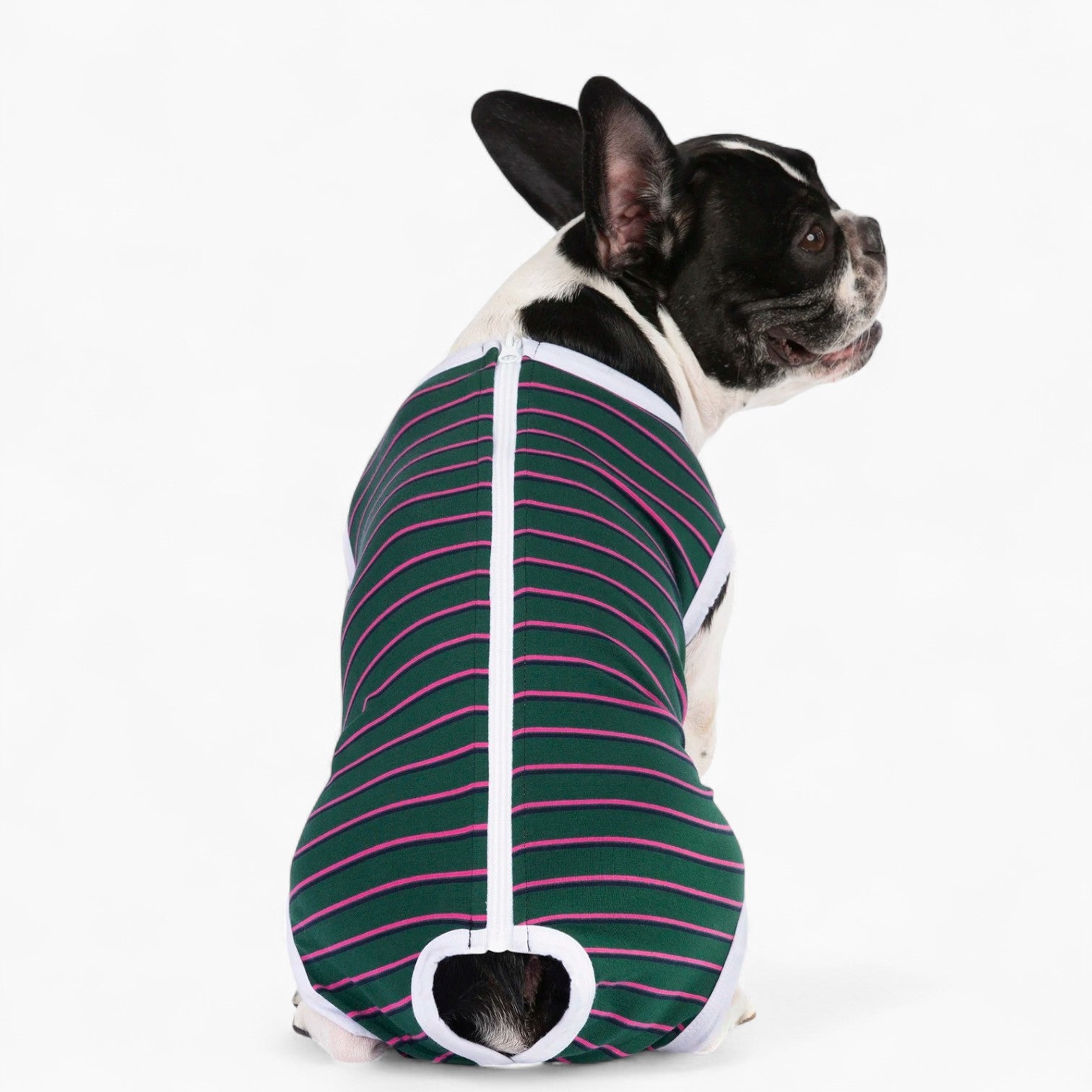 BulloFit French Bulldog Dog Shirt for Training Sessions-fadou