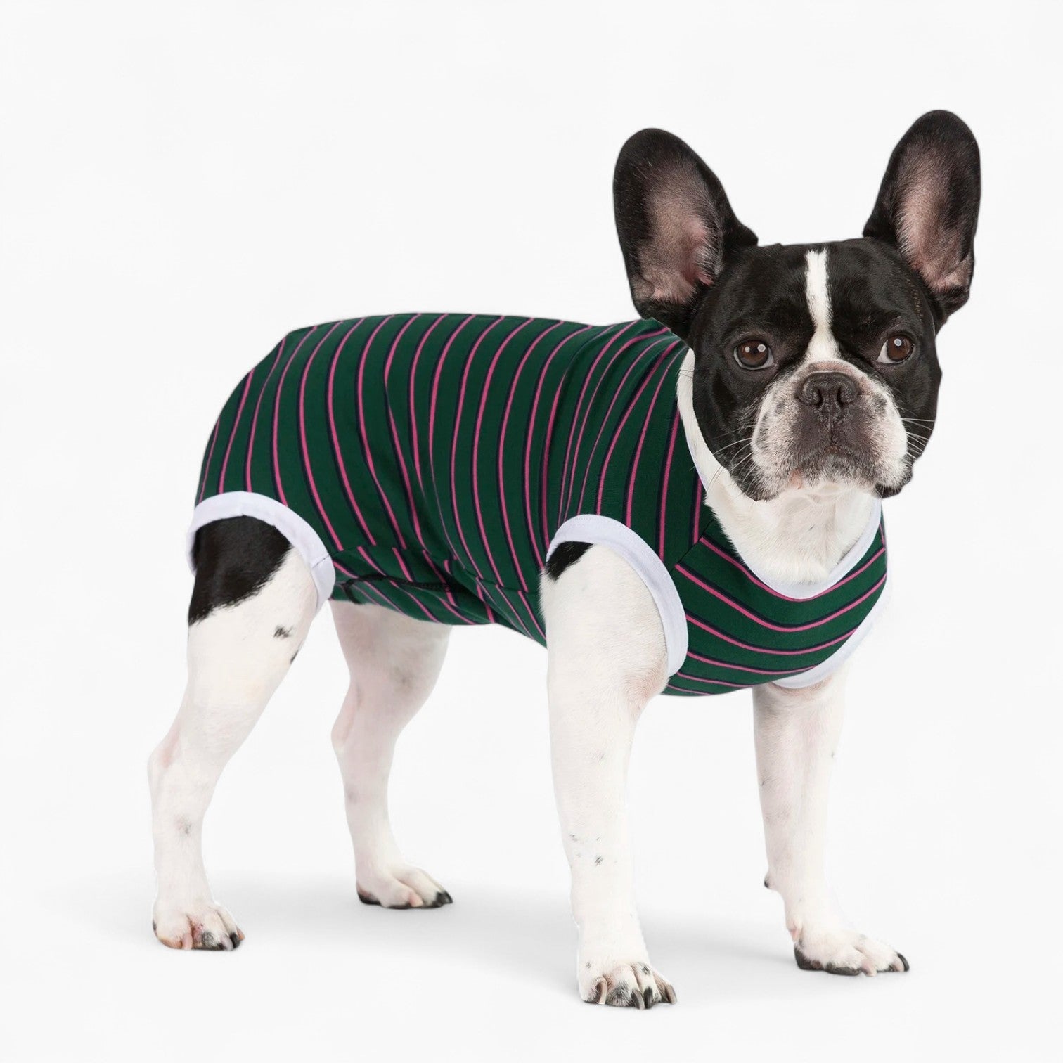 BulloFit French Bulldog Dog Shirt for Training Sessions-fadou