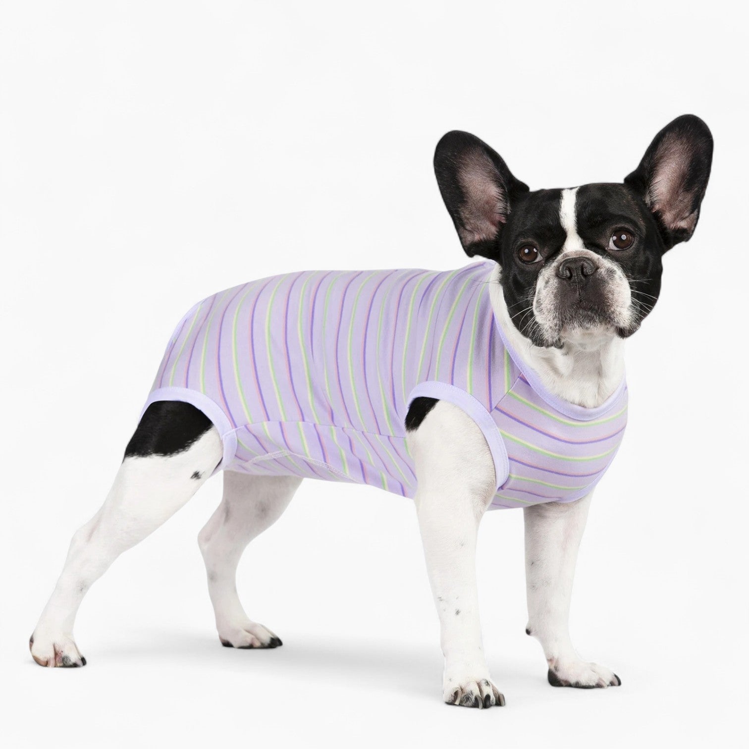 BulloFit French Bulldog Dog Shirt for Training Sessions-fadou