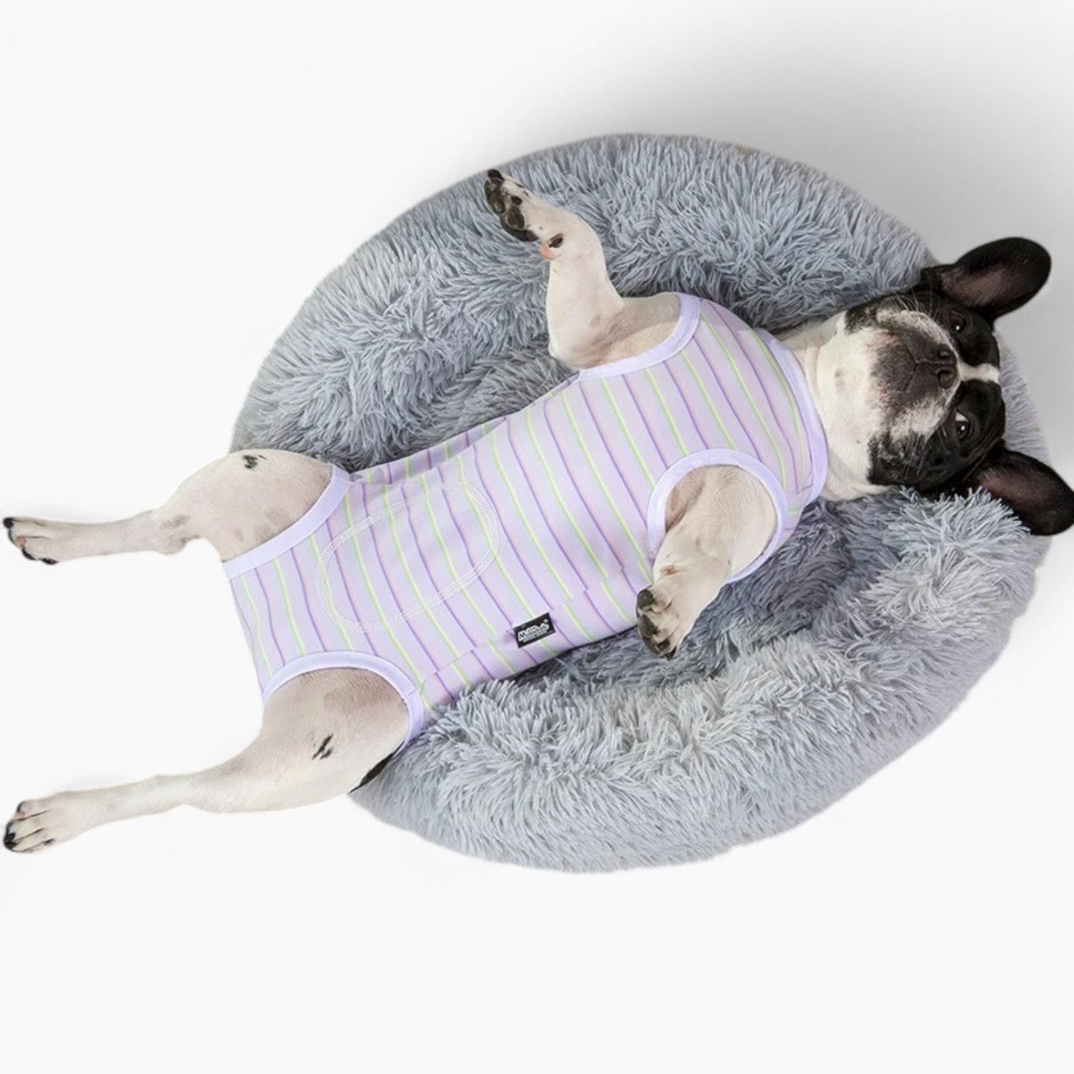 BulloFit French Bulldog Dog Shirt for Training Sessions-fadou