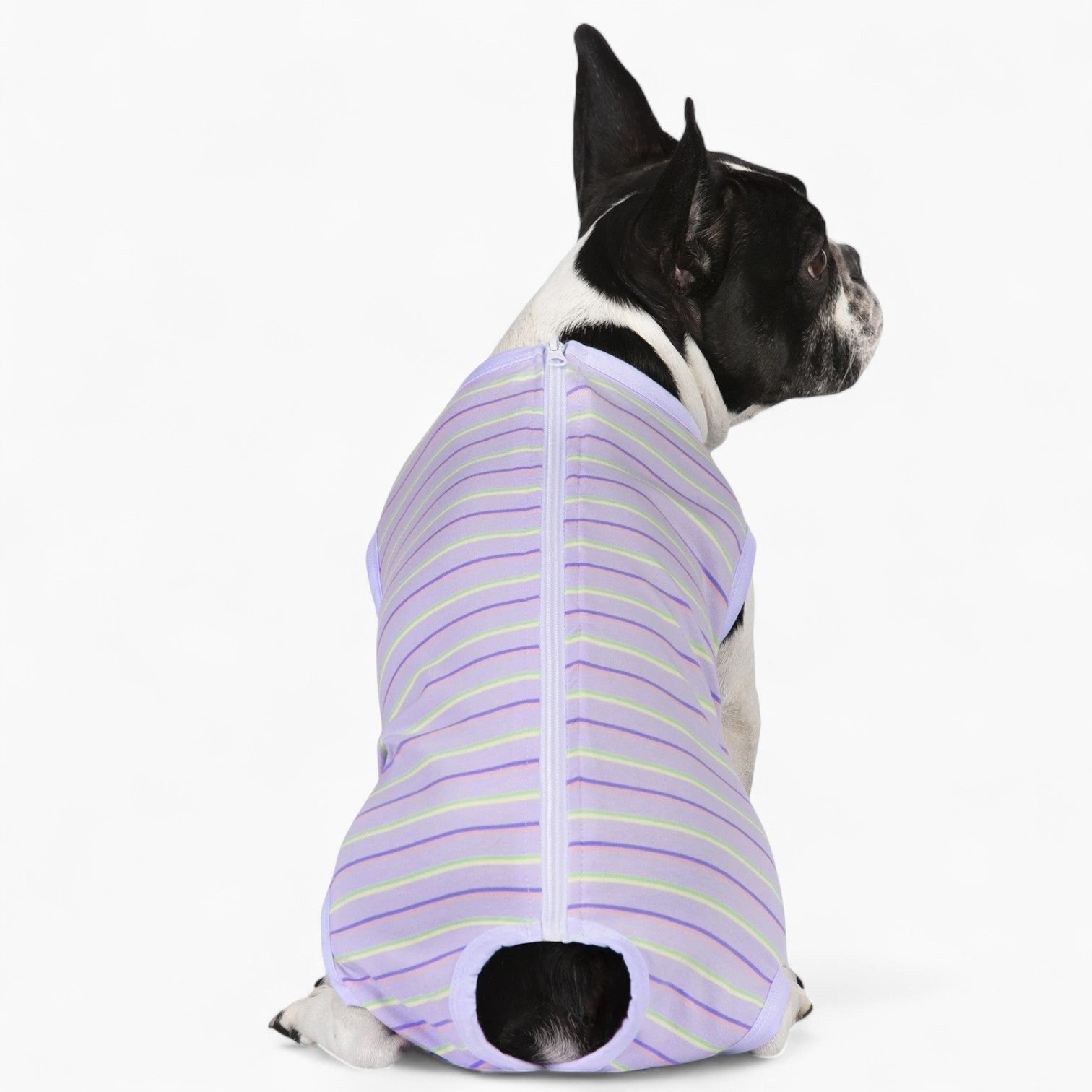 BulloFit French Bulldog Dog Shirt for Training Sessions-fadou