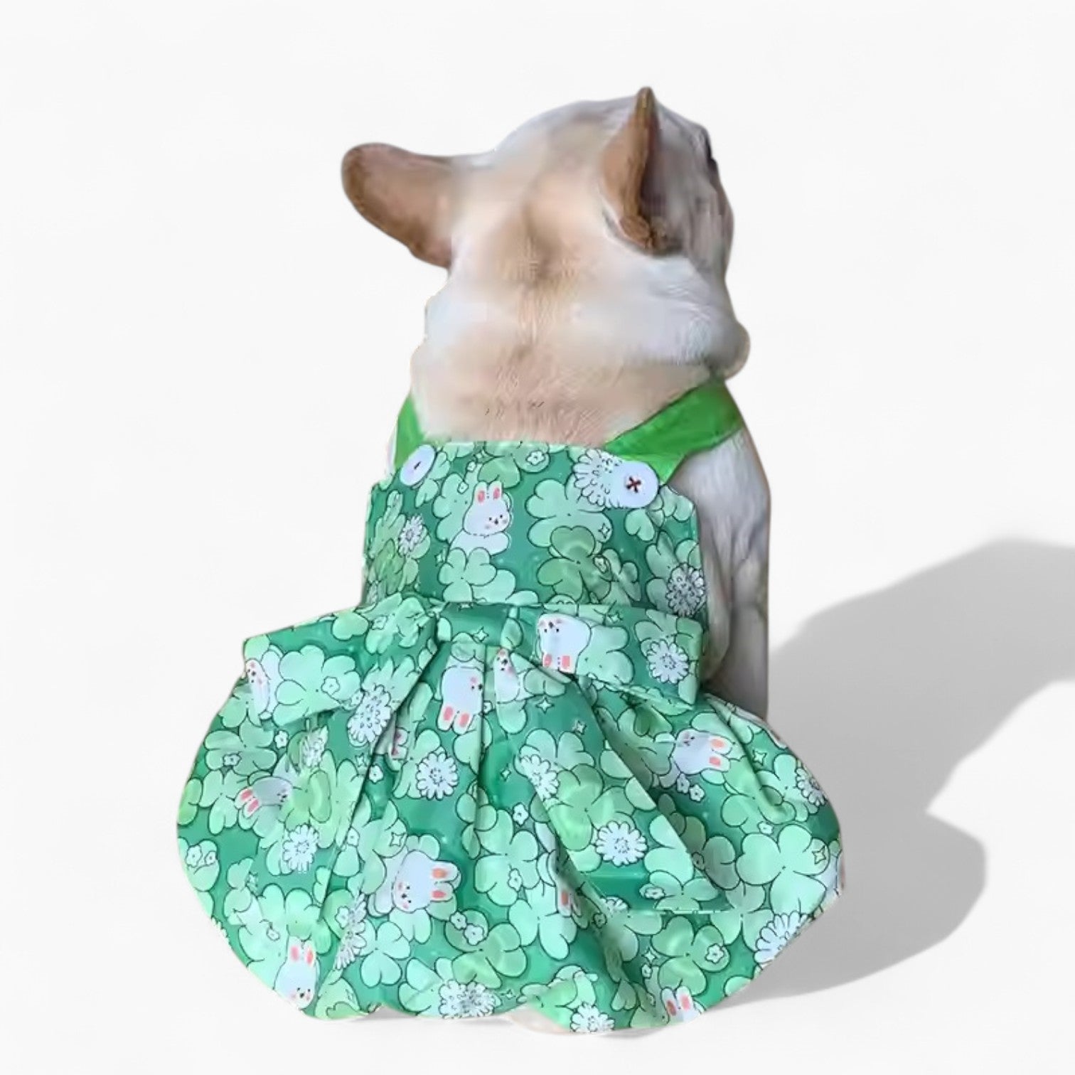 French Bulldog Cute Festive Costume for French Bulldogs-fadou