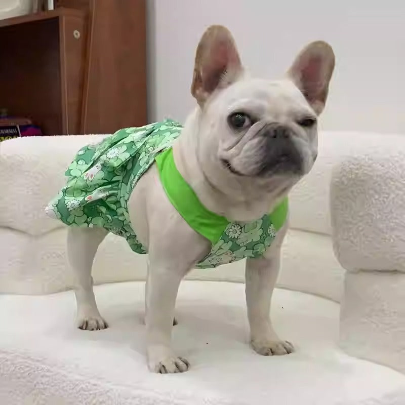 French Bulldog Cute Festive Costume for French Bulldogs-fadou