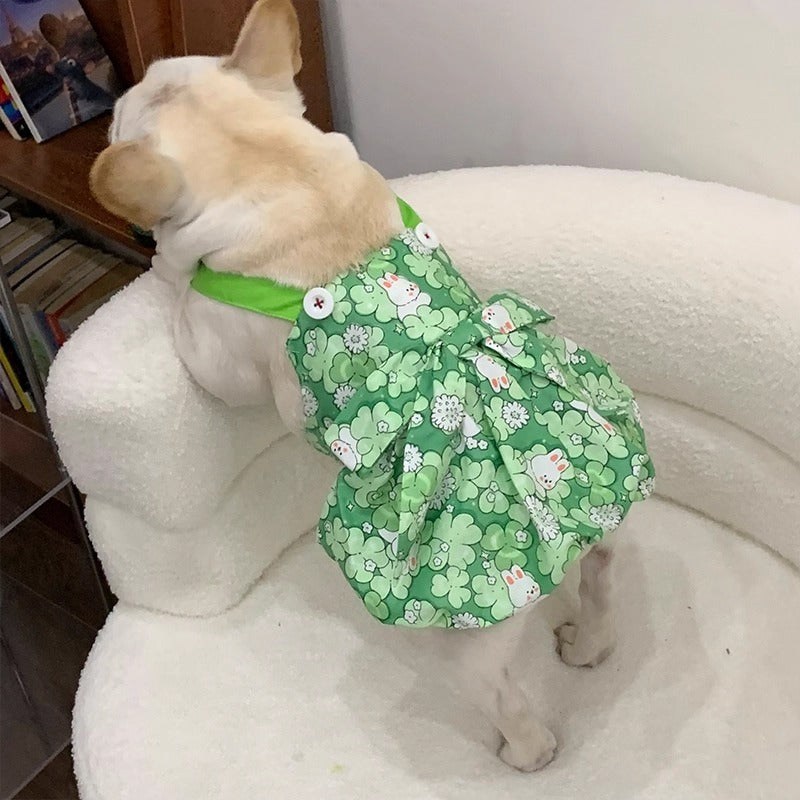 French Bulldog Cute Festive Costume for French Bulldogs-fadou