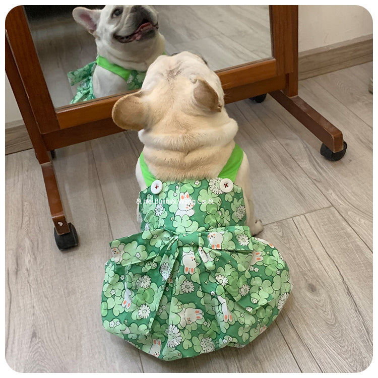 French Bulldog Cute Festive Costume for French Bulldogs-fadou