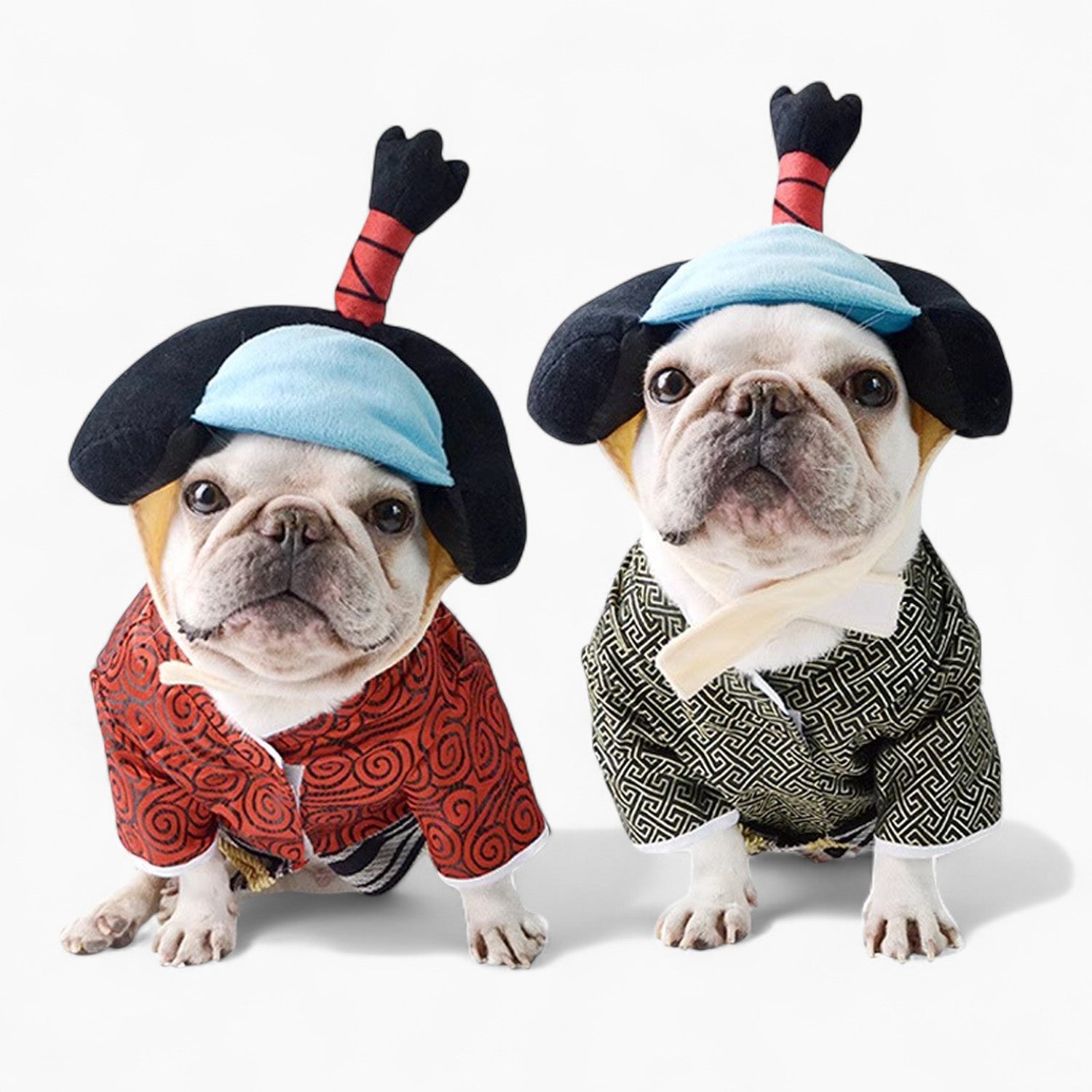 French Bulldog Halloween Cosplay for Brachycephalic Dogs-fadou