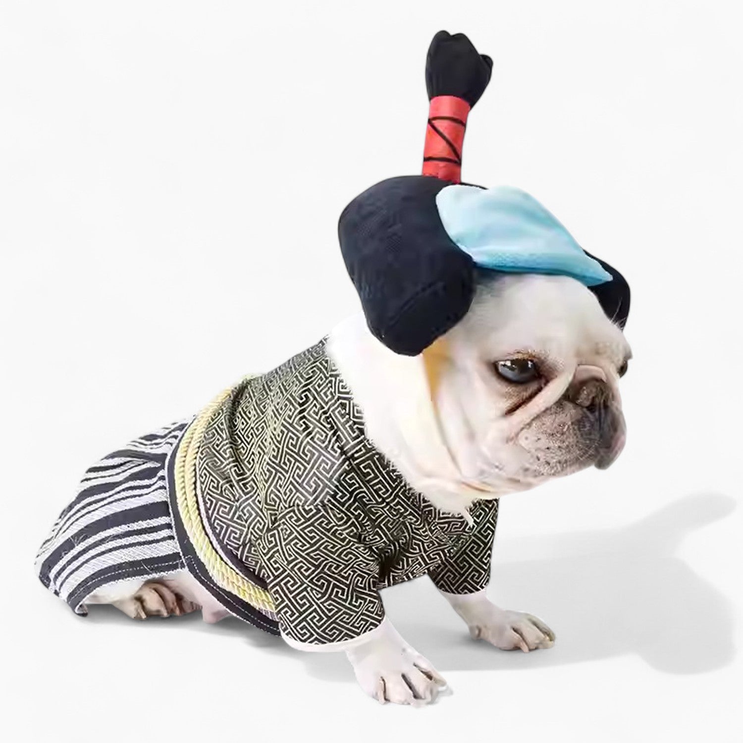 French Bulldog Halloween Cosplay for Brachycephalic Dogs-fadou