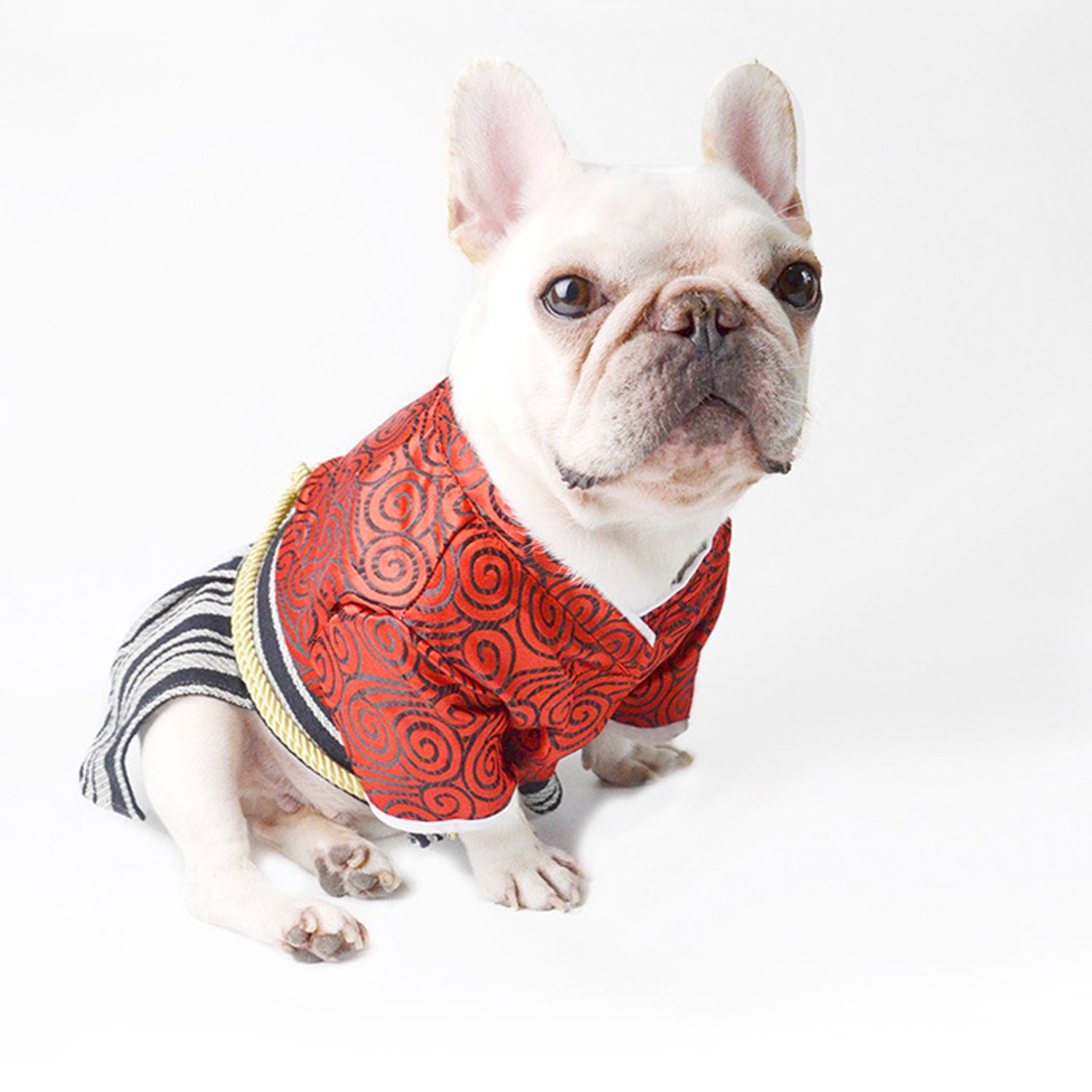 French Bulldog Halloween Cosplay for Brachycephalic Dogs-fadou