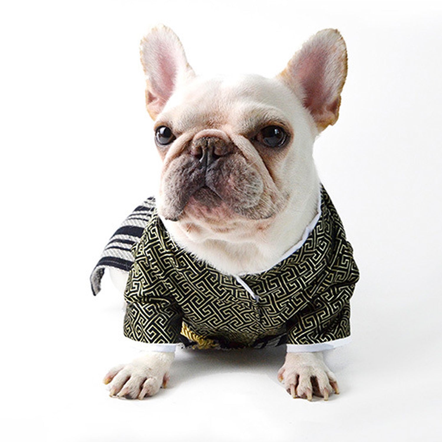 French Bulldog Halloween Cosplay for Brachycephalic Dogs-fadou