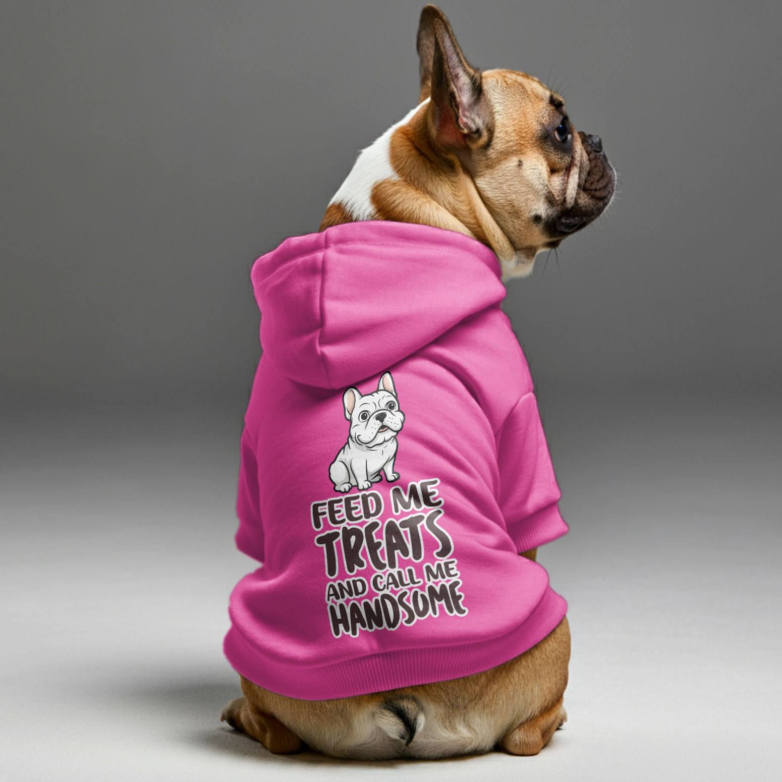 French Bulldog Personalized Dog Hoodie for Short-Nosed Dogs-fadou