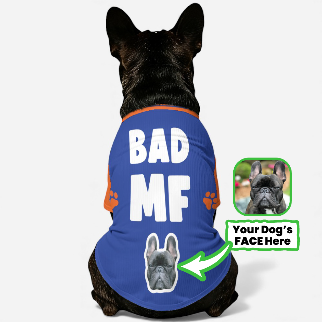 Frenchie Personalized Warm Knitwear for Brachycephalic Dogs-fadou