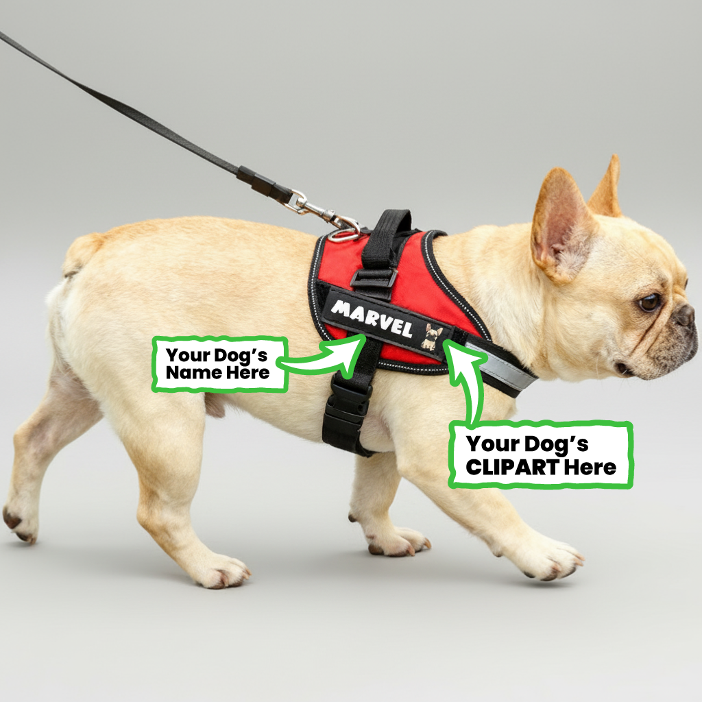 Frenchie Personalized No-Pull Vest for Outdoor Adventures-fadou