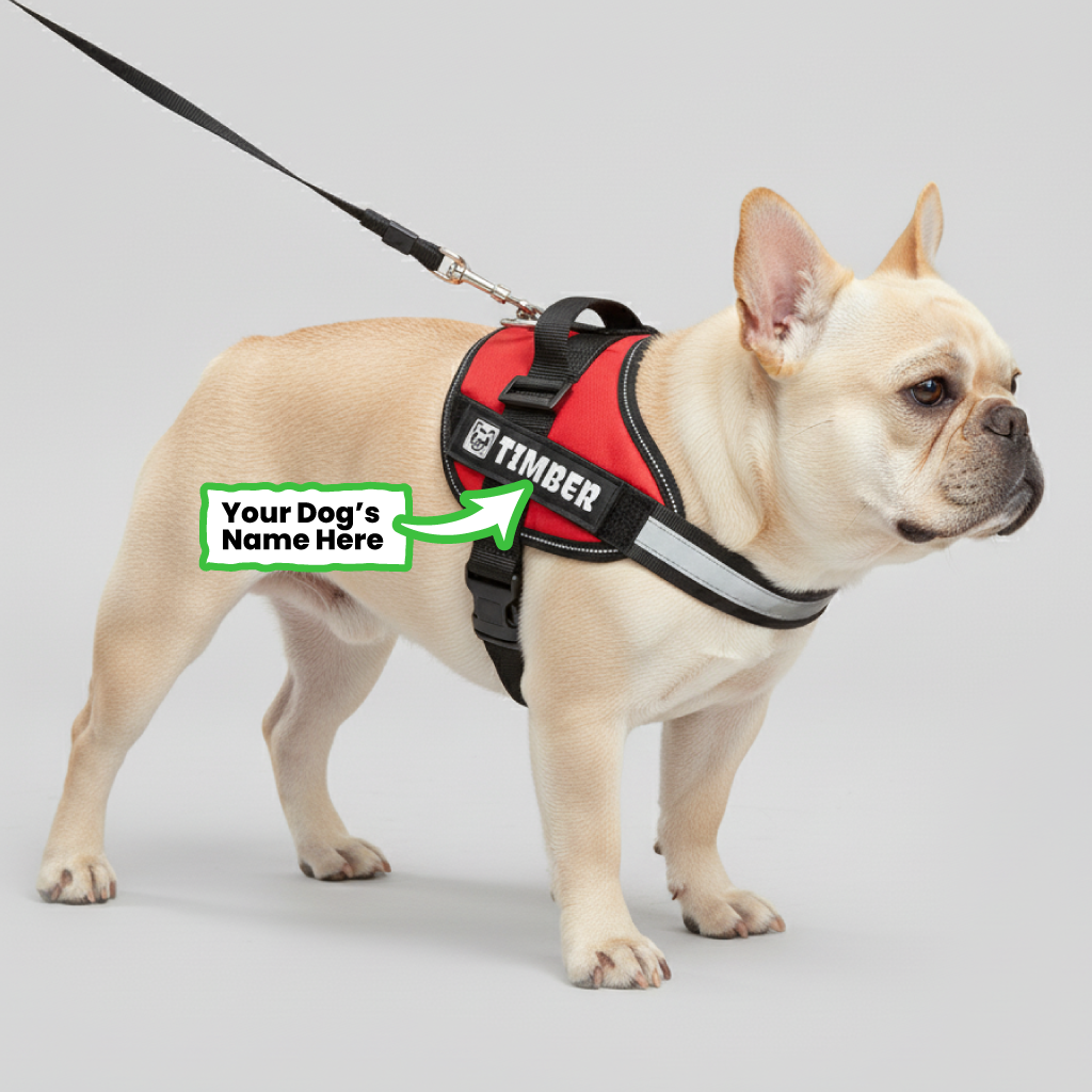 French Bulldog Personalized Chest Harness for Brachycephalic Dogs-fadou