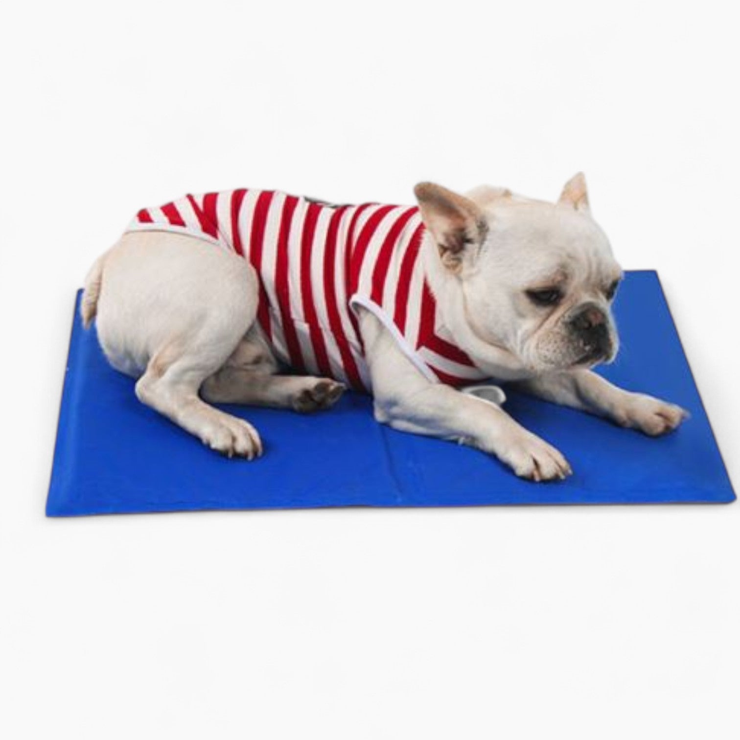 Frenchie Breathable Cozy Sofa Bed for Outdoor Adventures-fadou