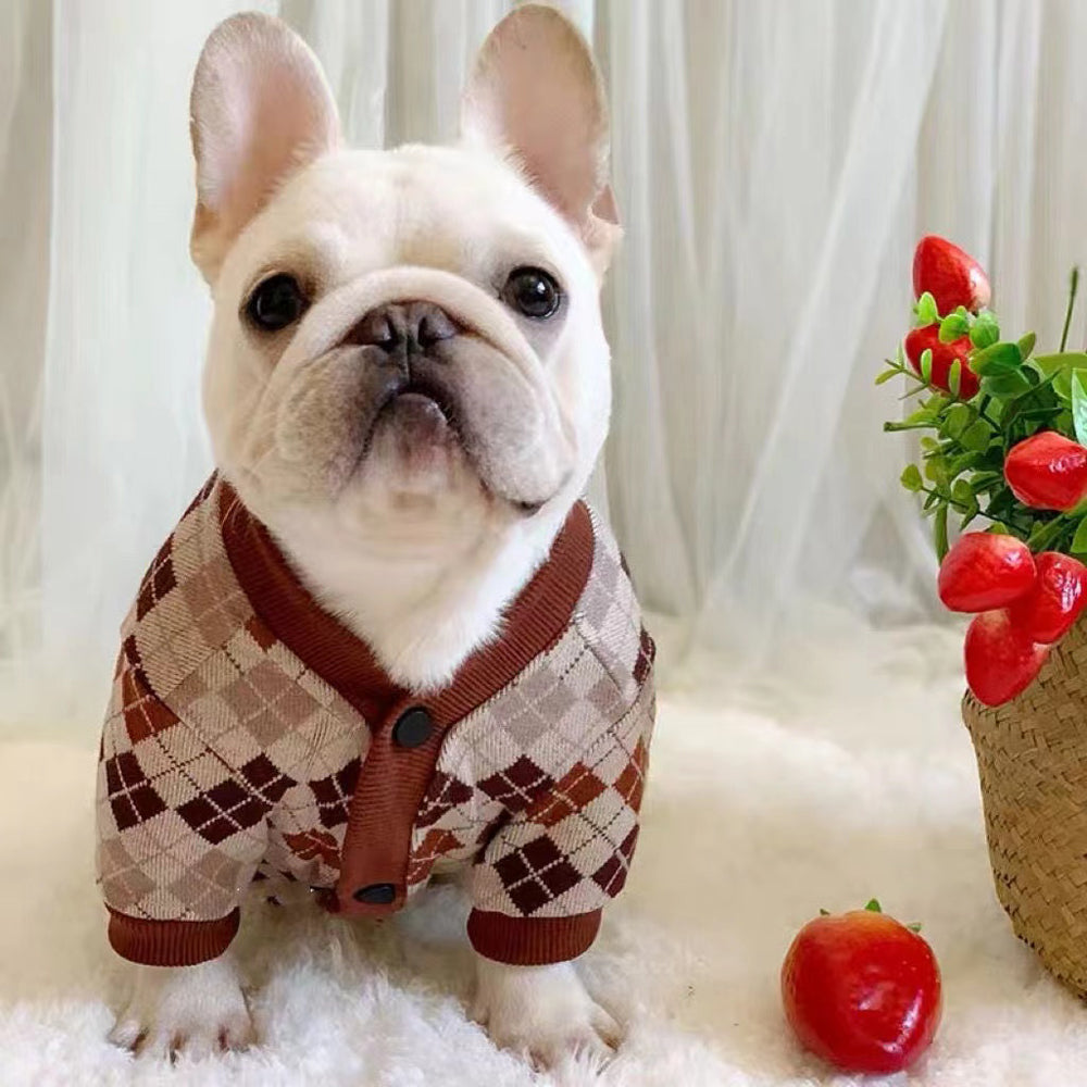 CardiChic French Bulldog Warm Knitwear for Playtime Fun-fadou