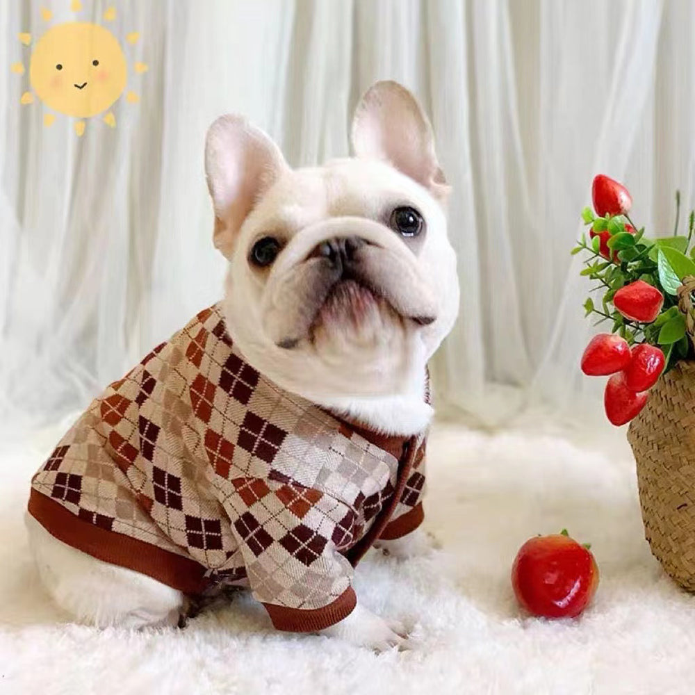 CardiChic French Bulldog Warm Knitwear for Playtime Fun-fadou