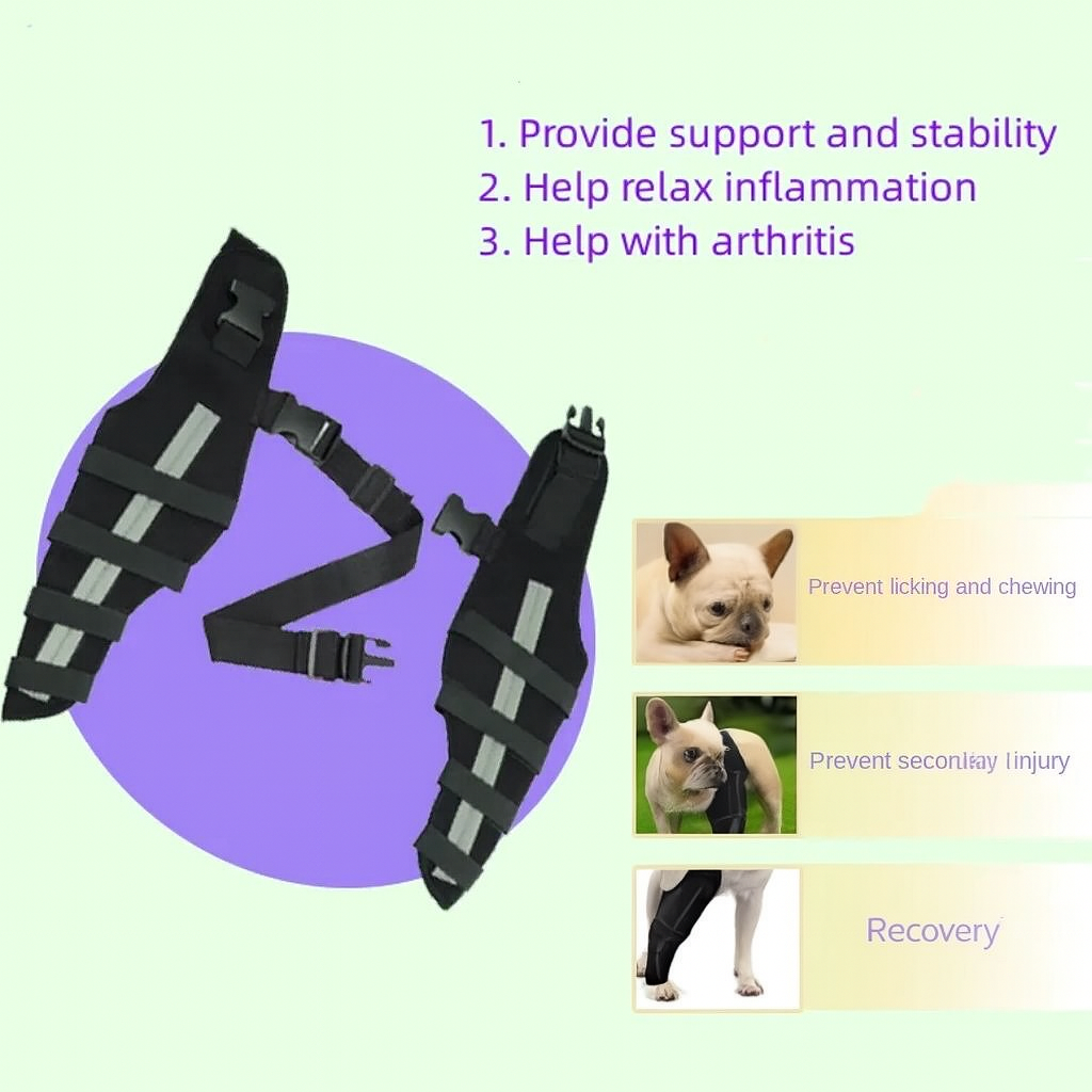 PawGuard Frenchie Knee Leg Braces – Joint Support for Dog Lovers and-fadou