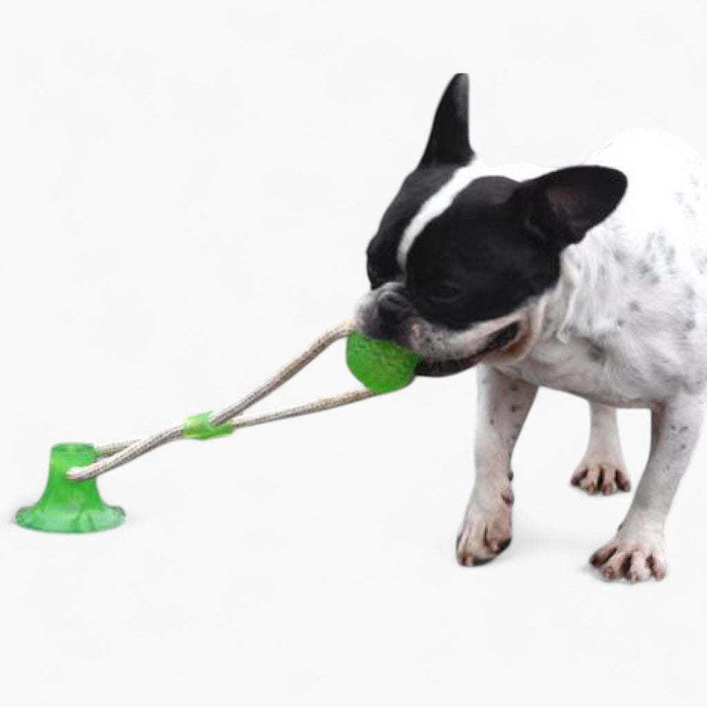 Suction French Bulldog Plush Play Toy for Short-Nosed Dogs-fadou