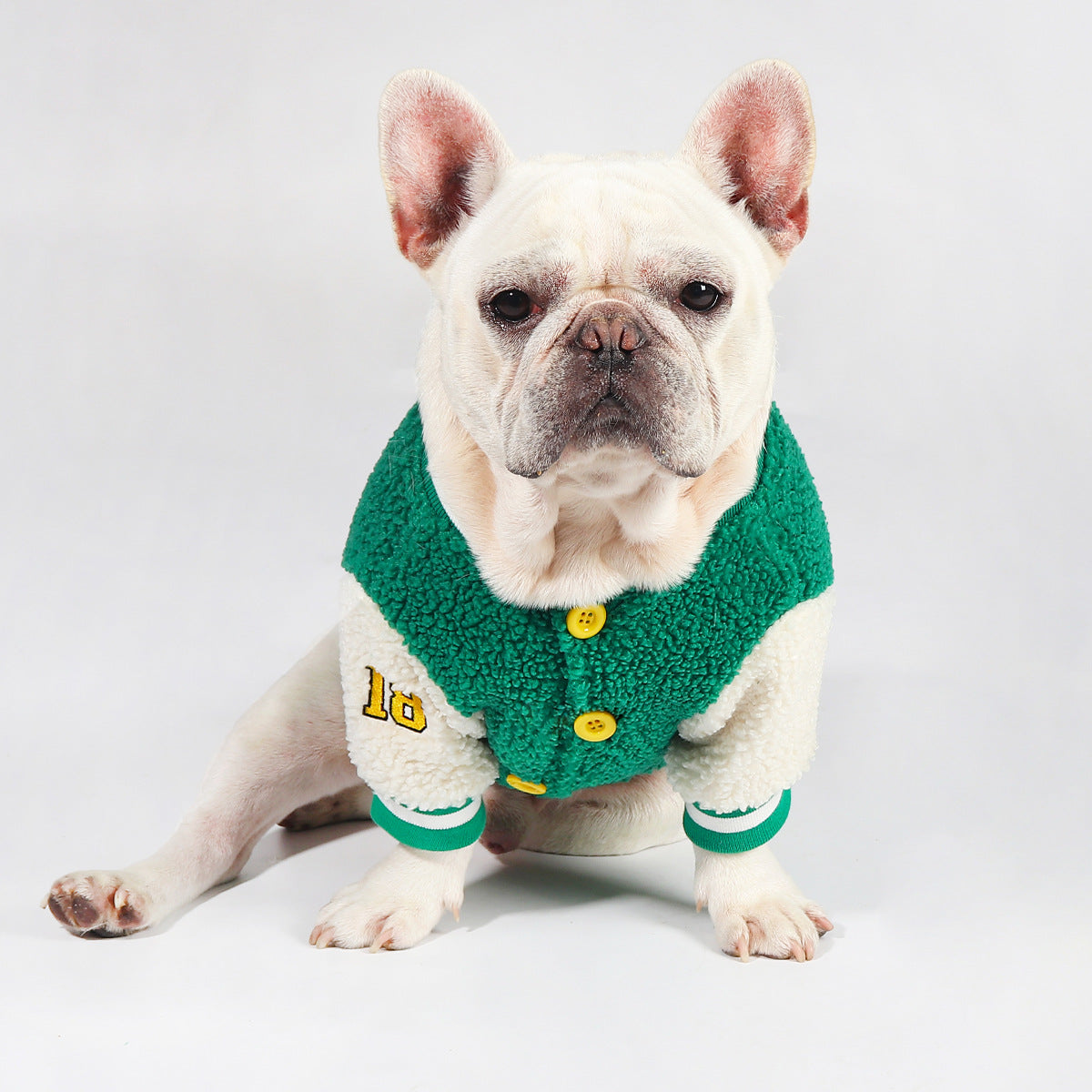 French Bulldog Soft Warm Knitwear for Training Sessions-fadou