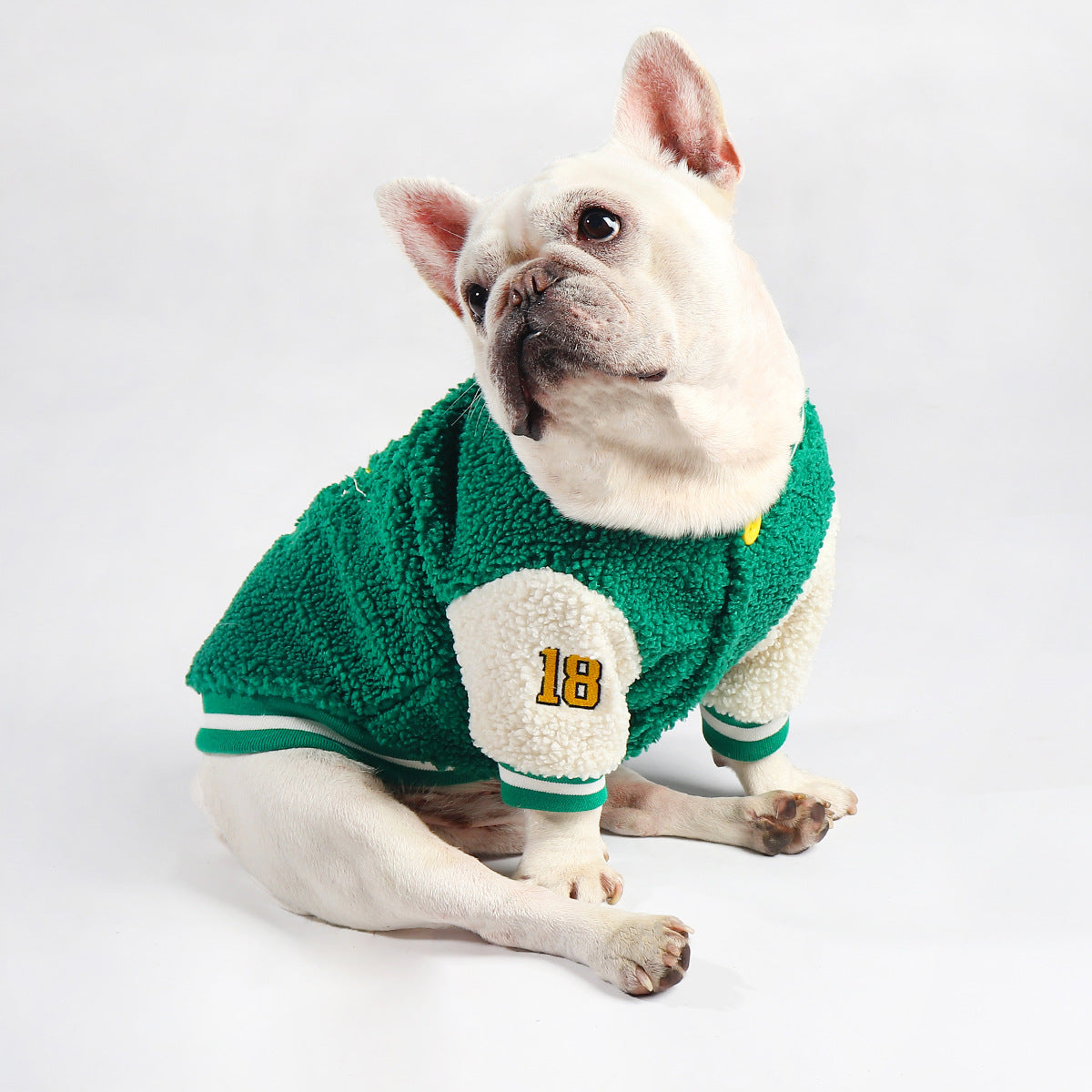 French Bulldog Soft Warm Knitwear for Training Sessions-fadou