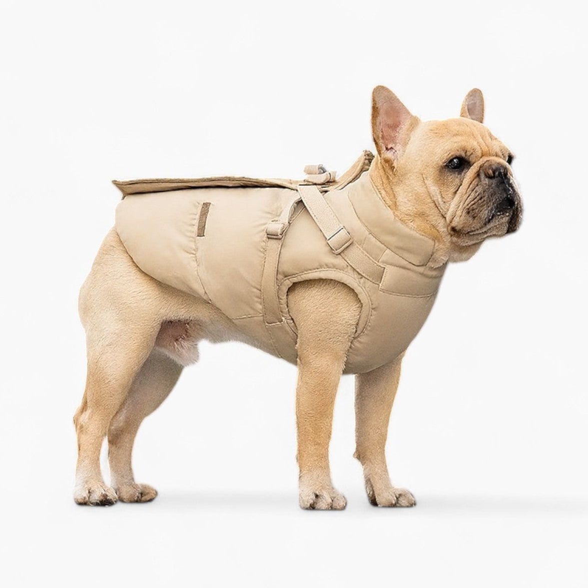 French Bulldog Padded Warm Outerwear for Training Sessions-fadou
