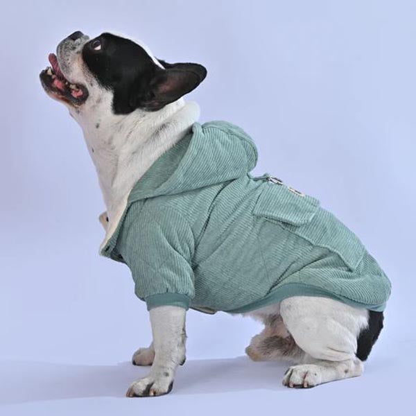 Dogzen™ - French Bulldog Hoodie for Dog Lovers and Owners-fadou