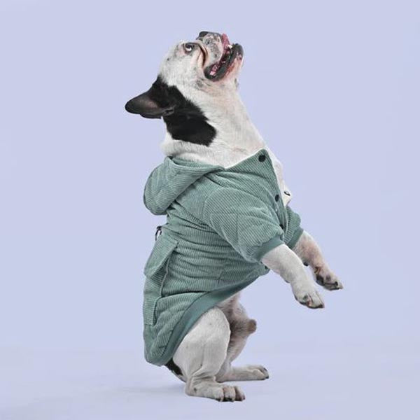 Dogzen™ - French Bulldog Hoodie for Dog Lovers and Owners-fadou