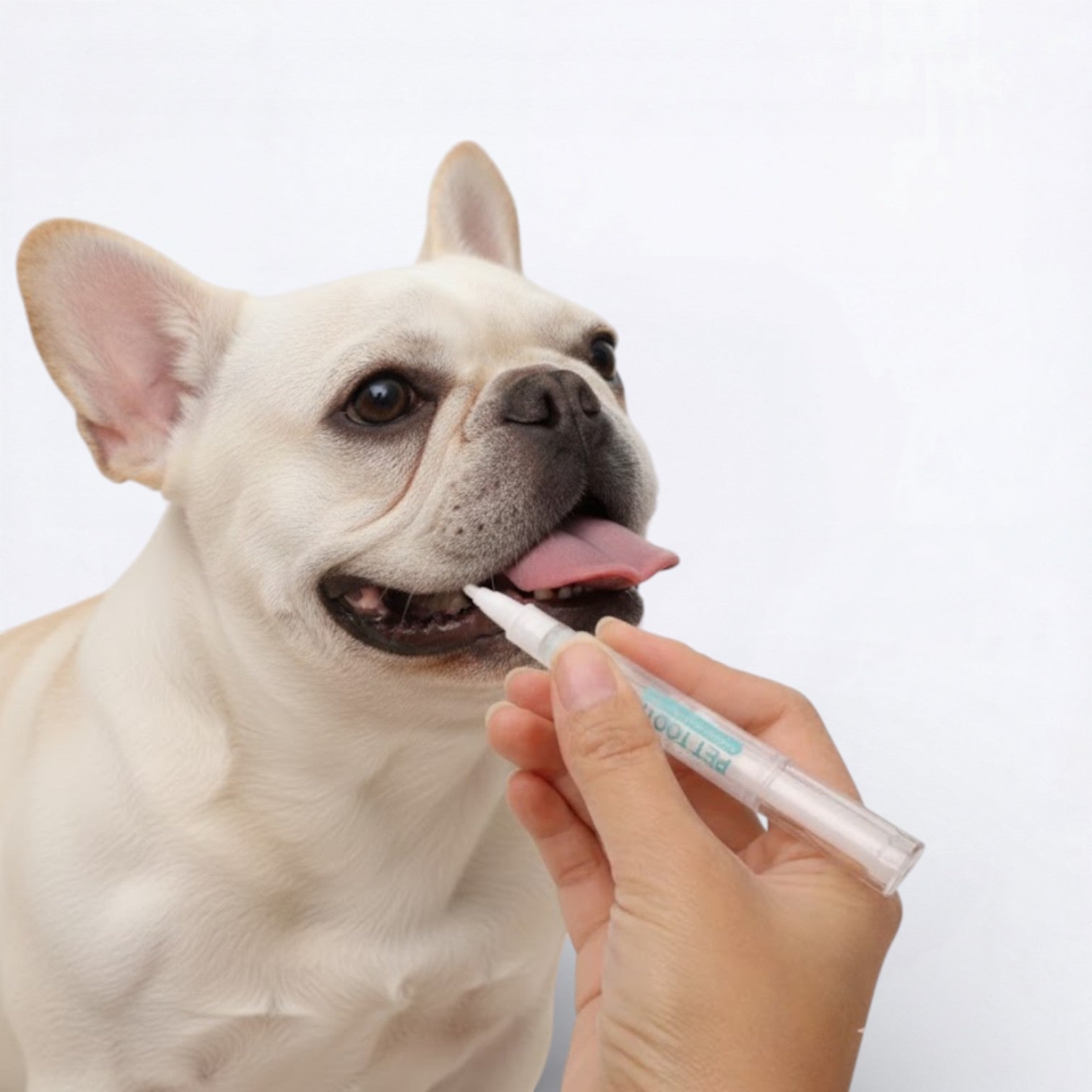 French Bulldog Portable Fur Groomer for Training Sessions-fadou
