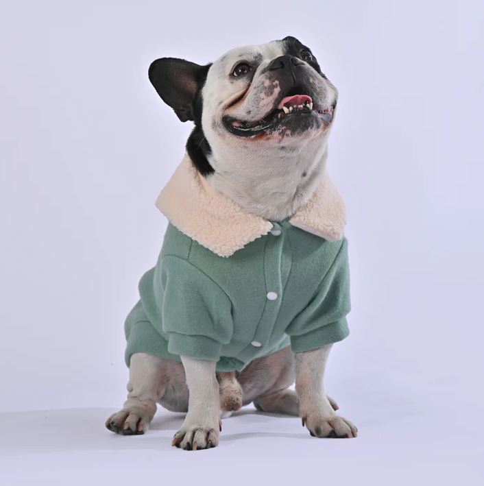 French Bulldog Warm Knitwear for Outdoor Adventures Gifts-fadou