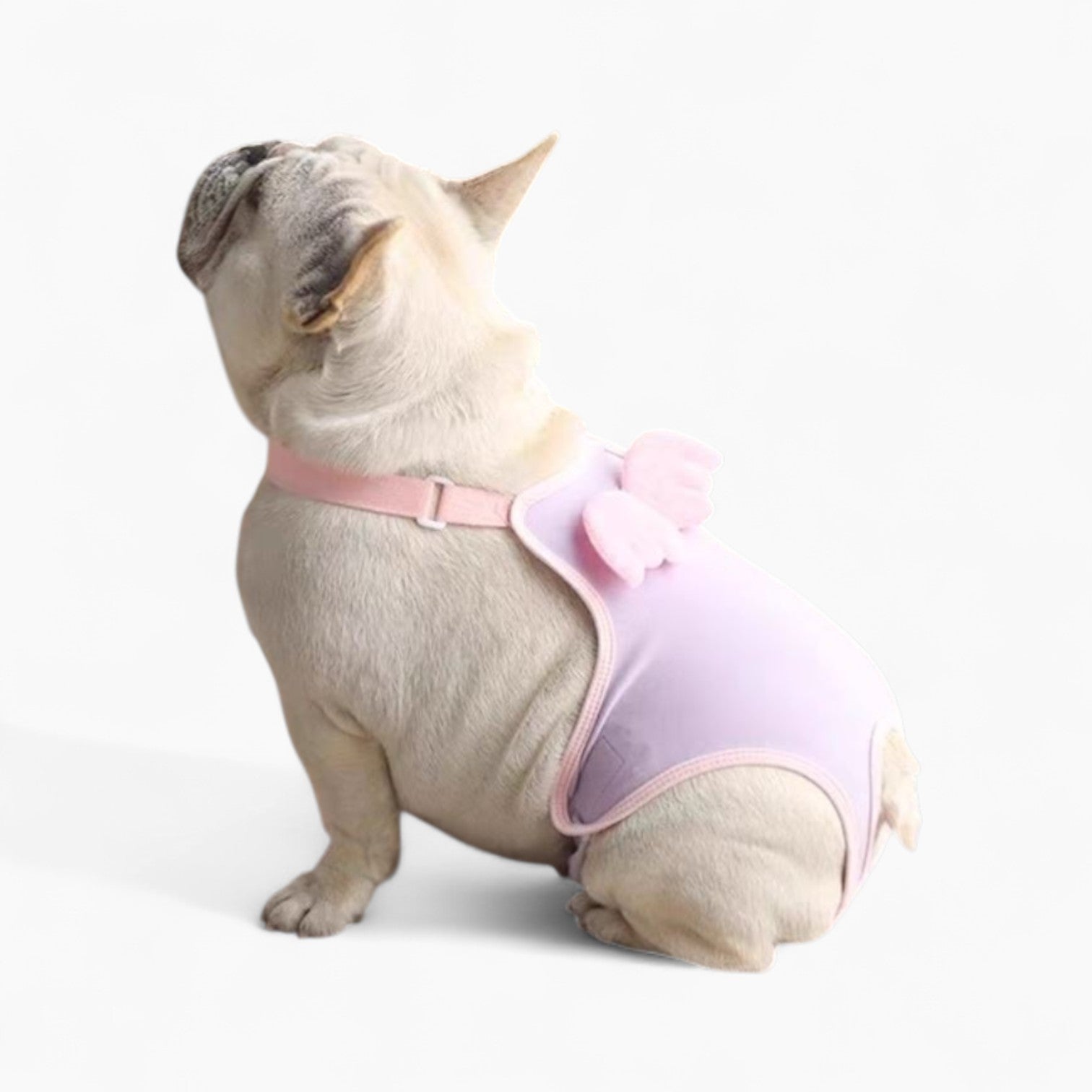 French Bulldog Comfortable Accessory for Bulldog Owners-fadou