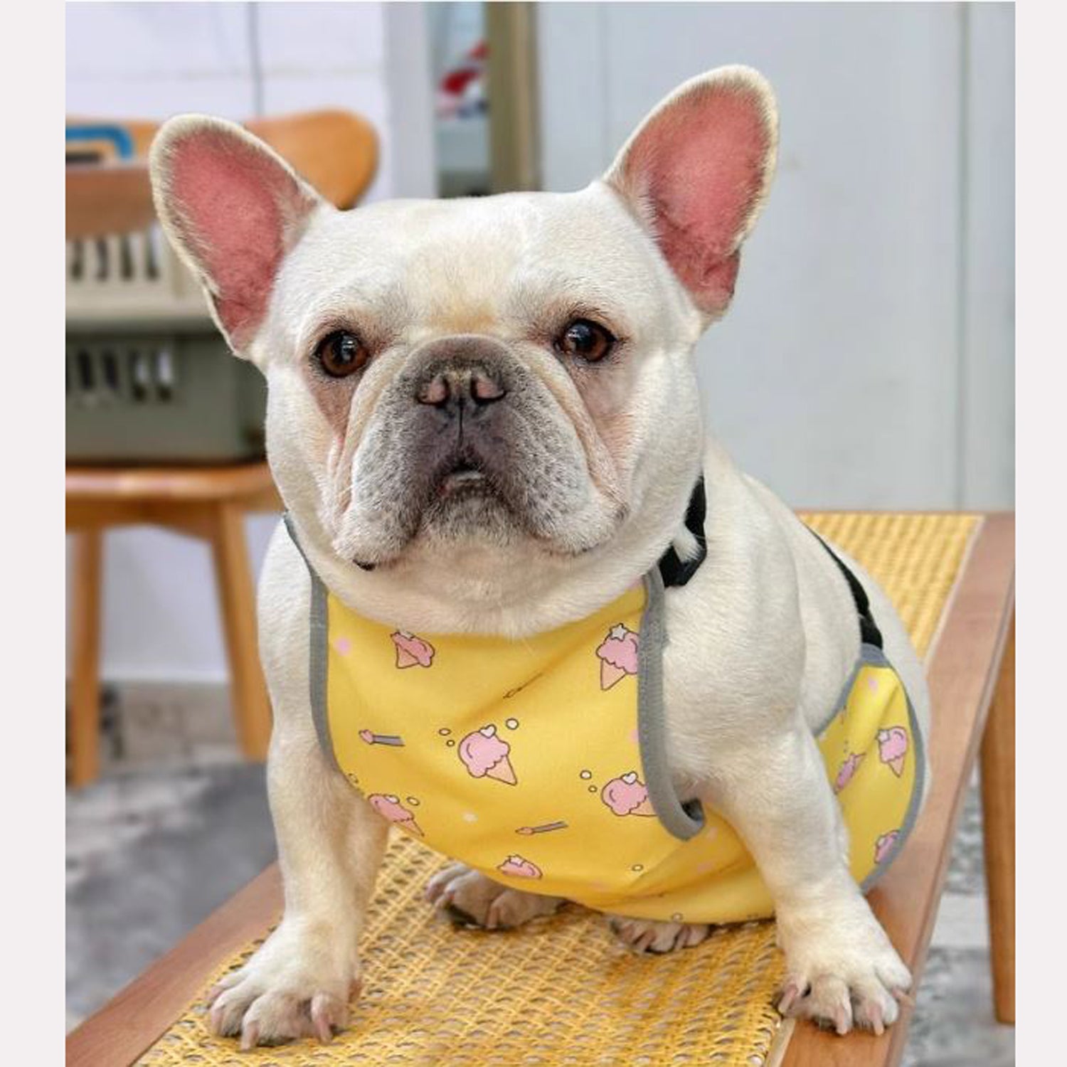 French Bulldog Cooling Product for Frenchie Enthusiasts-fadou