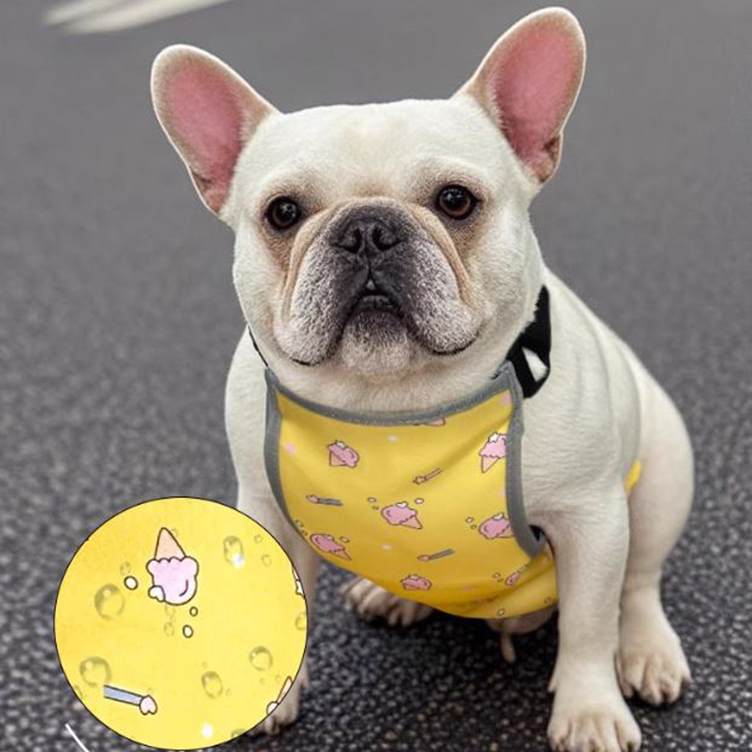 French Bulldog Cooling Product for Frenchie Enthusiasts-fadou