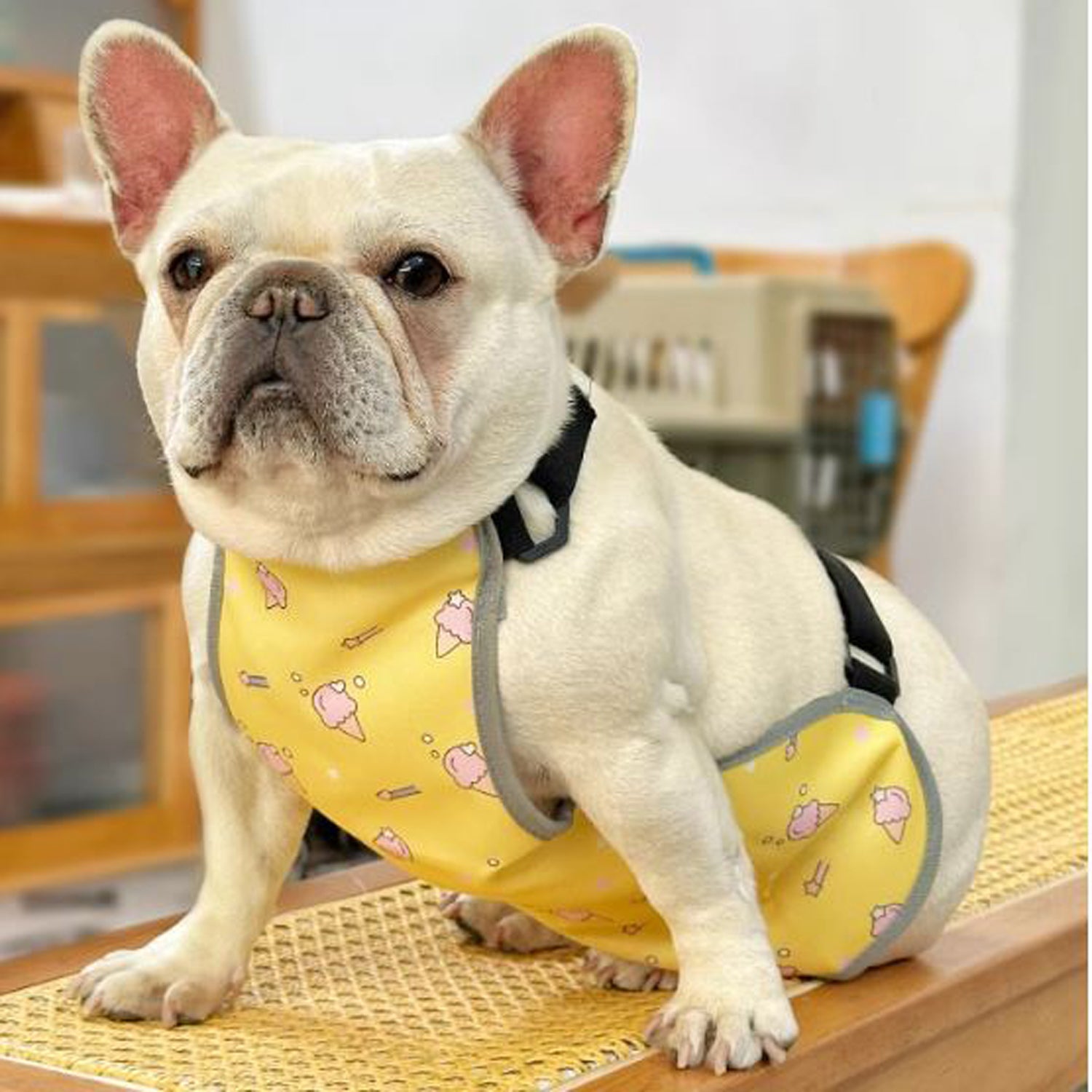 French Bulldog Cooling Product for Frenchie Enthusiasts-fadou