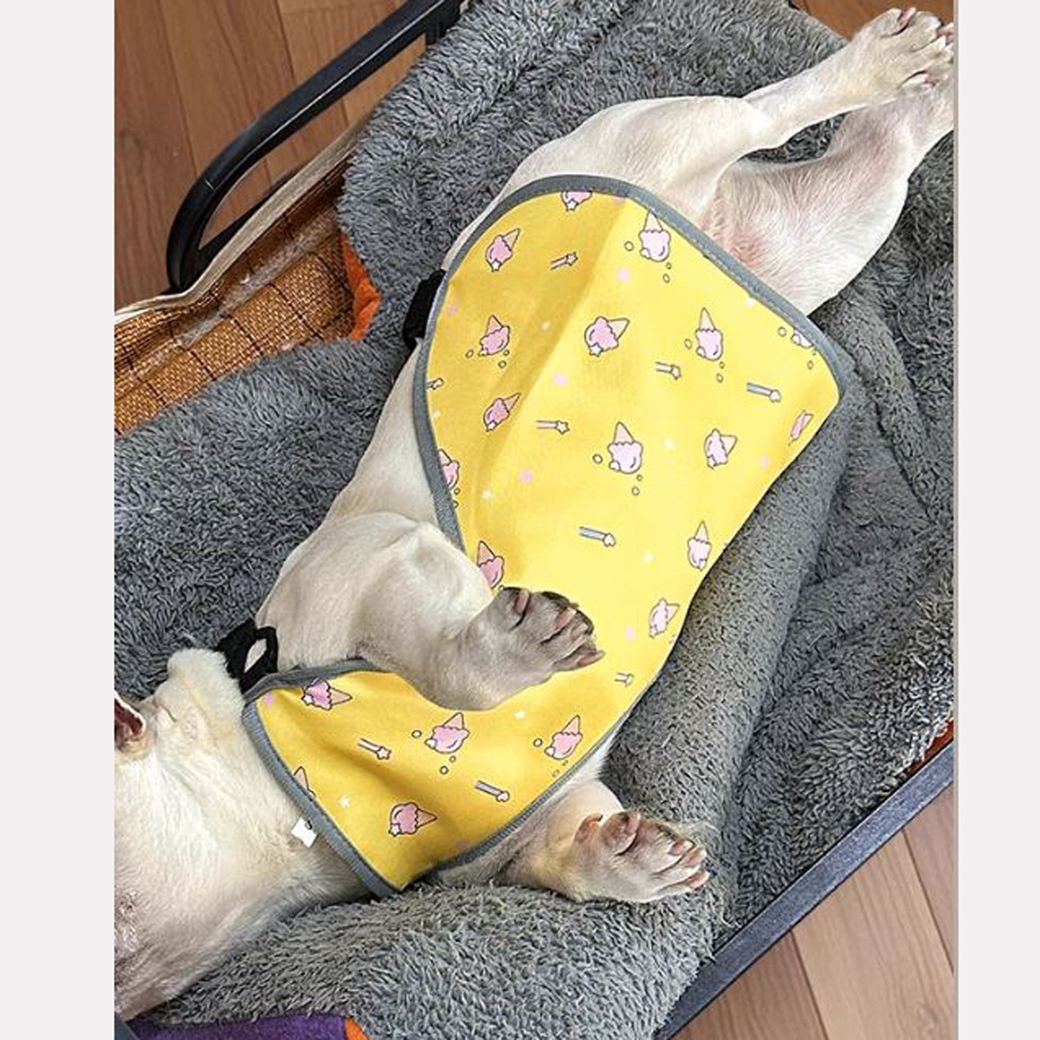French Bulldog Cooling Product for Frenchie Enthusiasts-fadou
