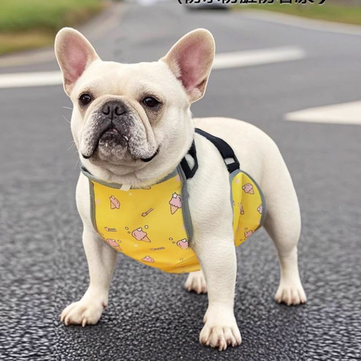 French Bulldog Cooling Product for Frenchie Enthusiasts-fadou