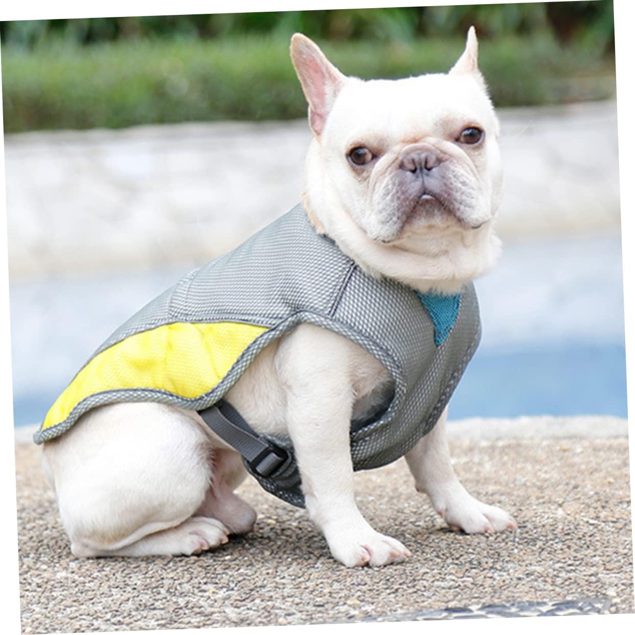 Coolify™ : Cooling Vest for Frenchie for Dog Moms & Dads-fadou