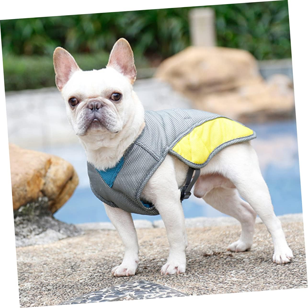 Coolify™ : Cooling Vest for Frenchie for Dog Moms & Dads-fadou