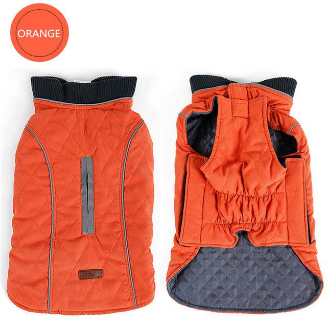 Cooper Jacket - Frenchie Waterproof Jacket for Frenchie Fans-fadou