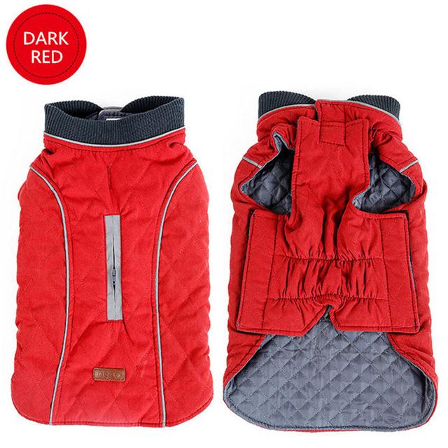 Cooper Jacket - Frenchie Waterproof Jacket for Frenchie Fans-fadou