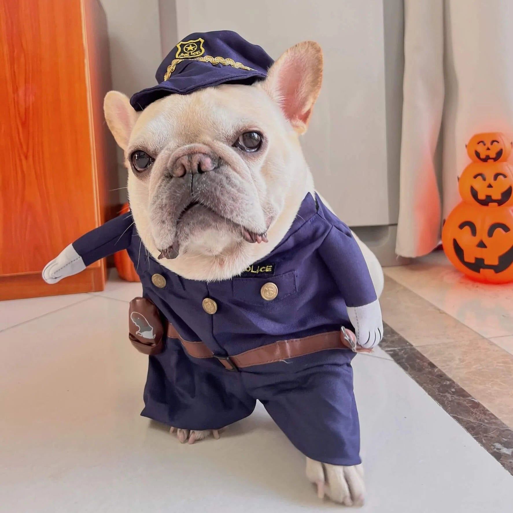 Halloween Funny Halloween Cosplay for Training Sessions-fadou