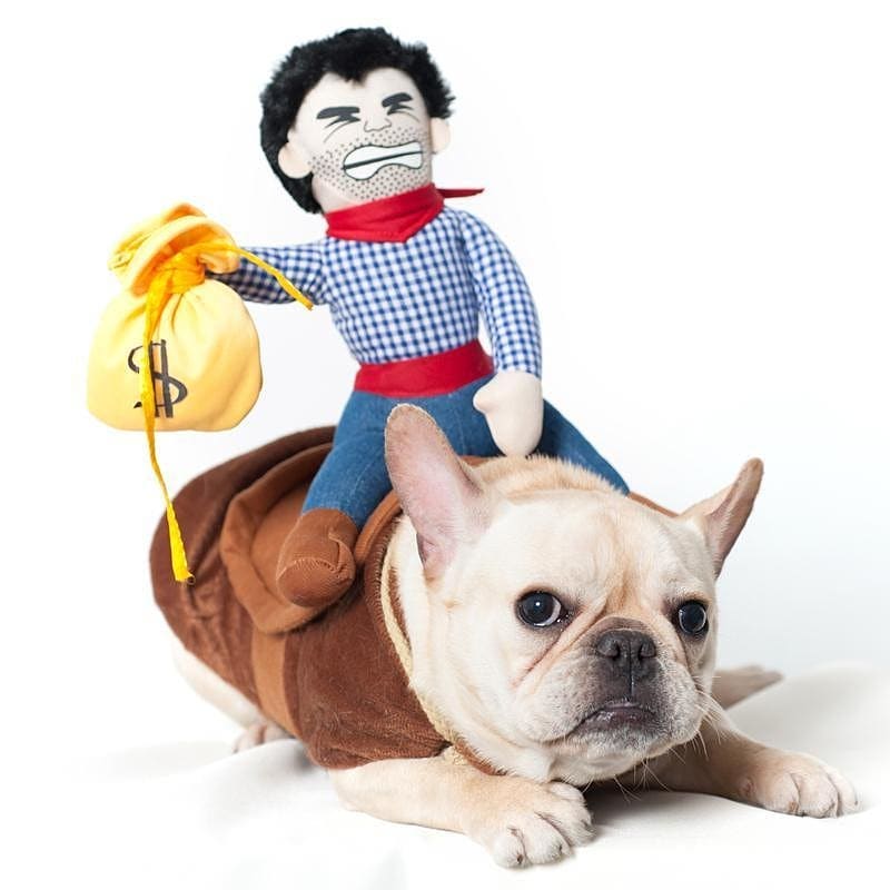 Cowboy French Bulldog Festive Costume for Flat-Face Breeds-fadou