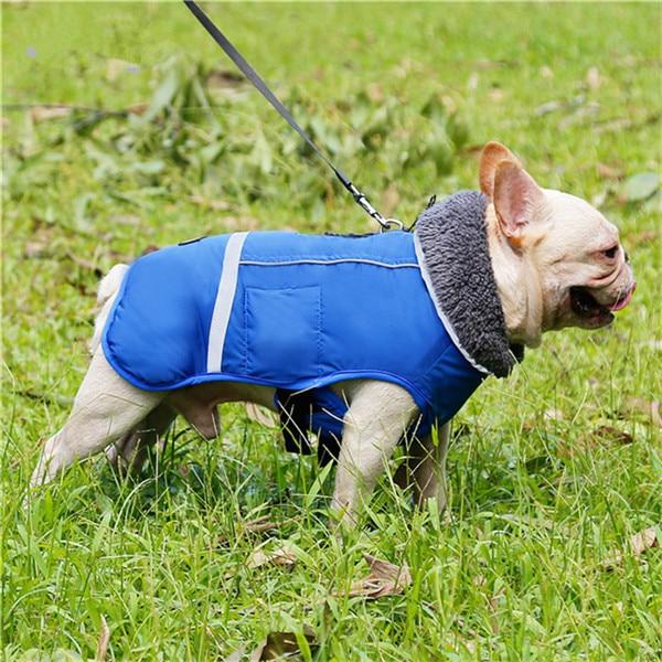 Warm Coat for Frenchie for French Bulldog Owners and Fans-fadou