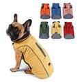 Cooper Jacket - Frenchie Waterproof Jacket for Frenchie Fans-fadou