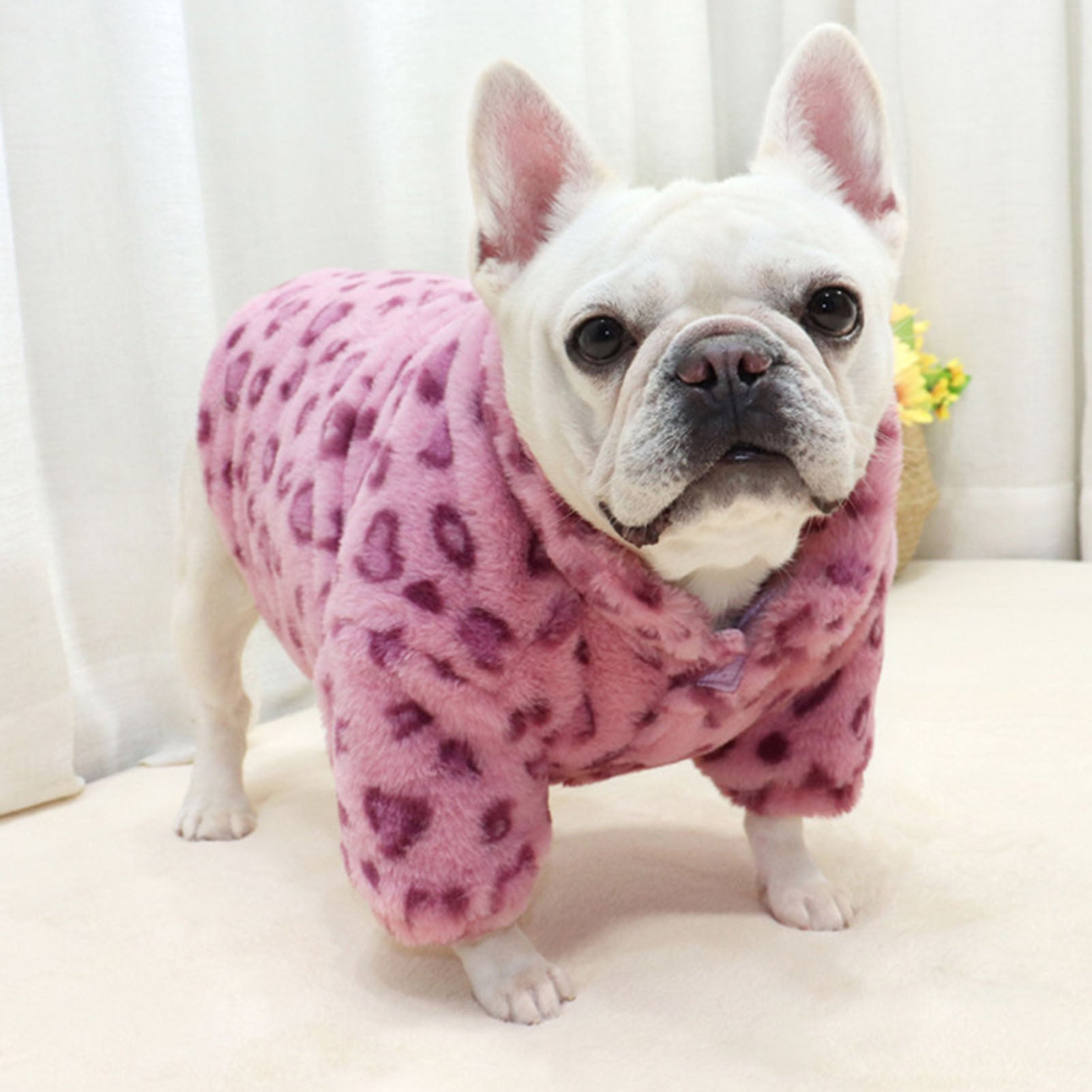 French Bulldog Fleece Accessory for Frenchie Enthusiasts-fadou