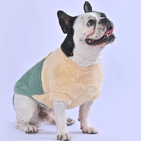Stylia™ - Frenchie Stylish Sweater for Frenchie Enthusiasts-fadou