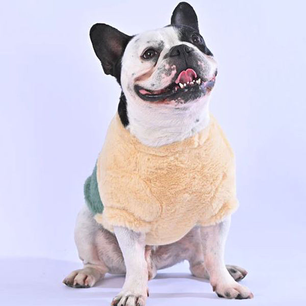 Stylia™ - Frenchie Stylish Sweater for Frenchie Enthusiasts-fadou